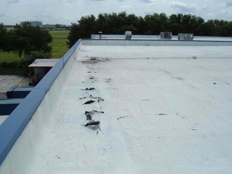 Low slope roof in need of repair and maintenance